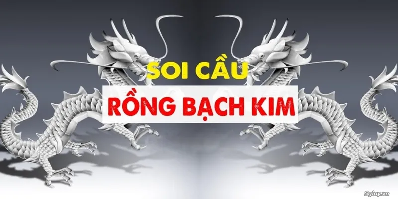 Giới thiệu thông tin về soi cầu bạch kim là gì cực chuẩn